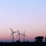 Celebrating Excellence: Global Impact Award Winners