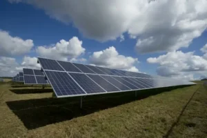 Solar panels representing a renewable energy winner